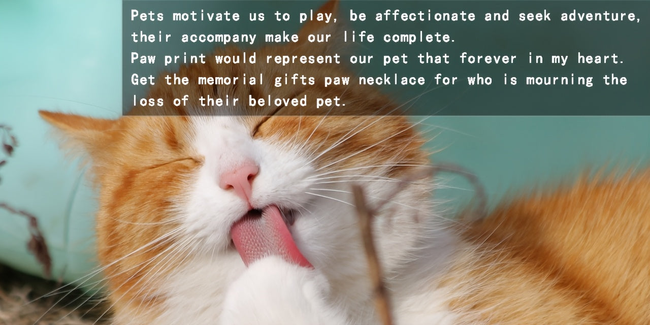 Sterling Silver Infinity Earrings - 925 Black Cat Paw Print Women's Memorial Jewelry Lover Gift - Valentine's Day Puppy Pet Paw Earrings