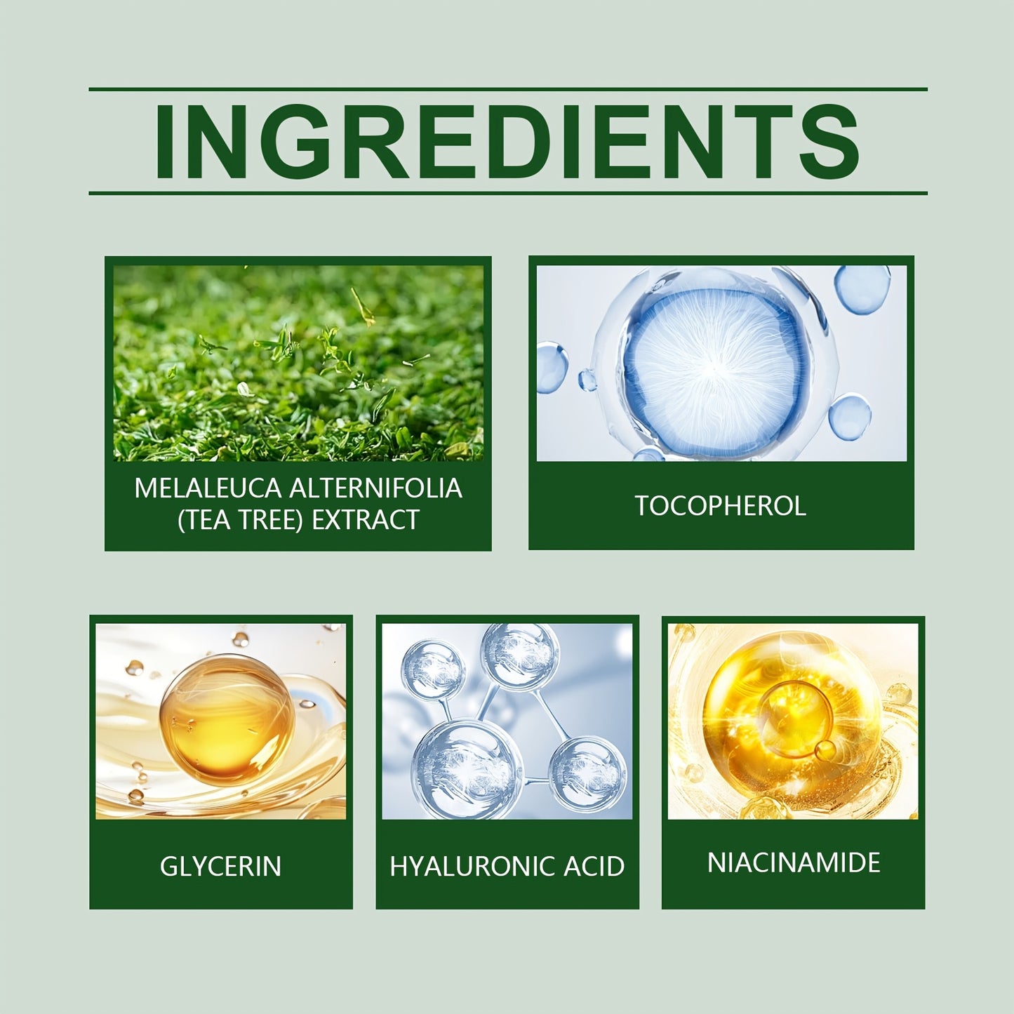 Green Tea Protection Cream For Facial Moisturizing Care